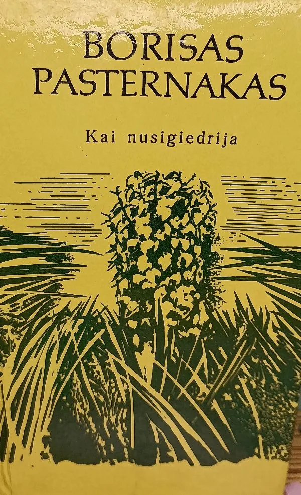 Kai nusigiedrija