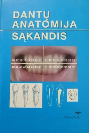 Dantų anatomija. Sąkandis