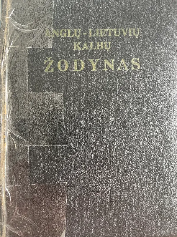 Anglų—lietuvių kalbų žodynas