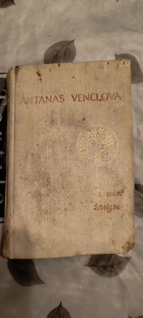 Vakarinė žvaigždė