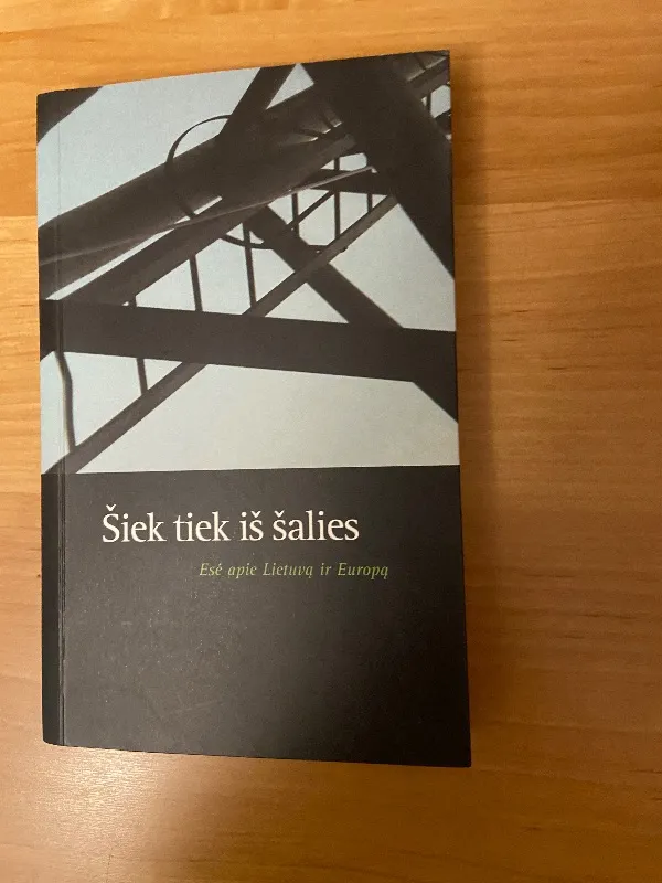 Šiek tiek iš šalies.Esė apie Lietuvą ir Europą