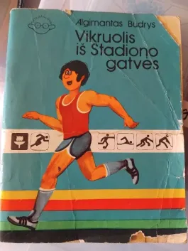 Vikruolis iš Stadiono gatvės