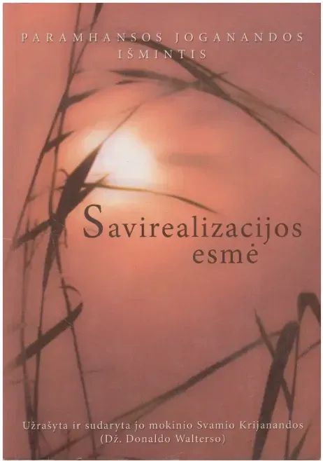 Savirealizacijos esmė