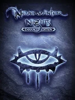 Neverwinter Nights: Enhanced Edition - Nintendo Switch žaidimas