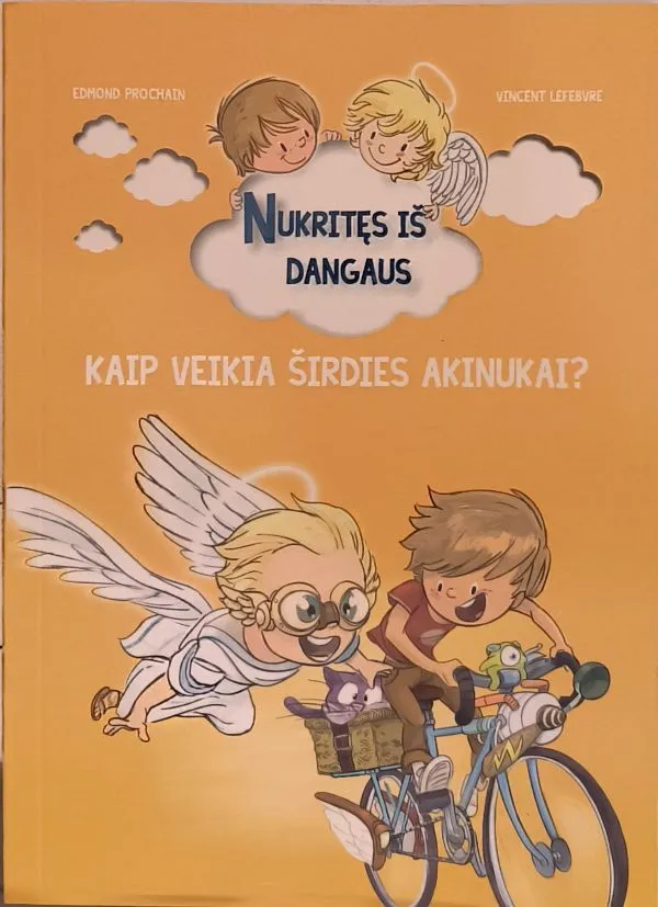Nukritęs iš dangaus. Kaip veikia širdies akinukai?