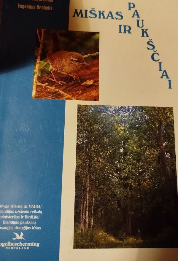 Miškas ir paukščiai
