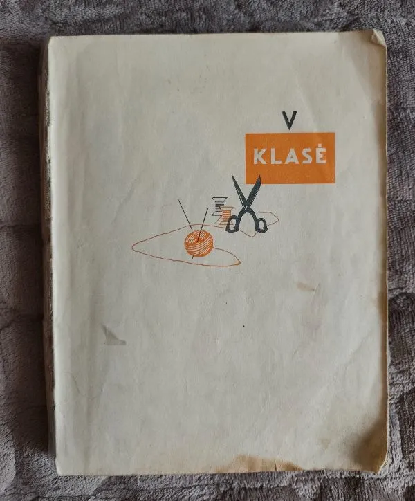 Namų ruoša V klasei