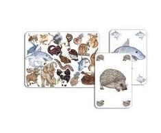 Djeco Kortų žaidimas - Zanimatch ( DJ05153 )