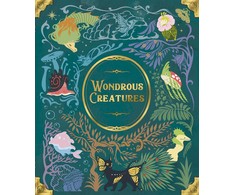 Bad Comet Wondrous Creatures