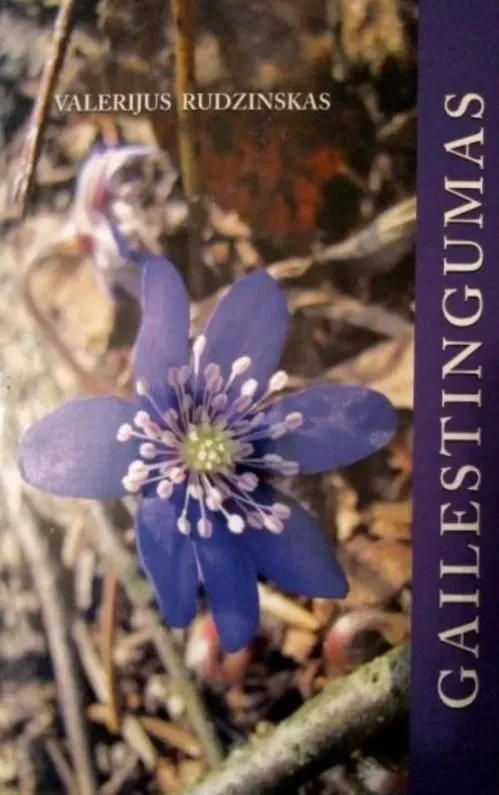 Gailestingumas
