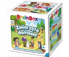 BrainBox – augintiniai REBEL