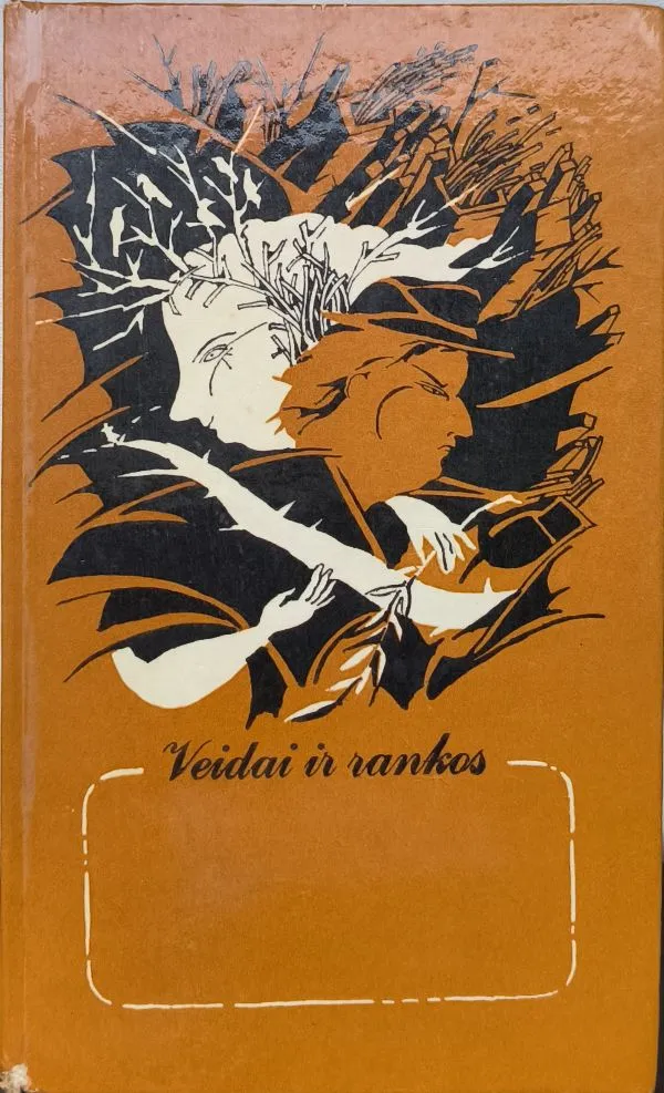 Veidai ir rankos