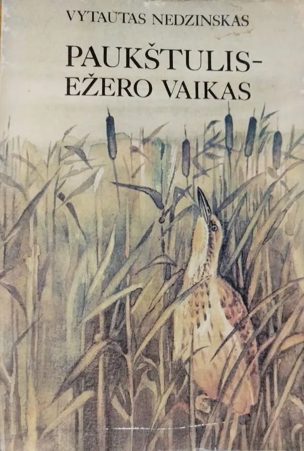 Paukštulis ežero vaikas