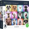 Funny Dogs Faces 10706T, 48 cm x 68.3 cm, 1000 vnt. Trefl dėlionė