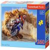 260pcs, 32 cm x 23 cm, 260 vnt. Castorland dėlionė