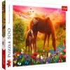 Horses On The Meadow 876187, 34 cm x 48 cm, 500 vnt. Trefl dėlionė