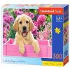 Labrador Puppy In Pink Box 030071, 29 cm x 40 cm, 300 vnt. Castorland dėlionė