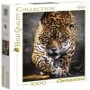 HQ Jaguar 39326, 1000 vnt. Clementoni dėlionė