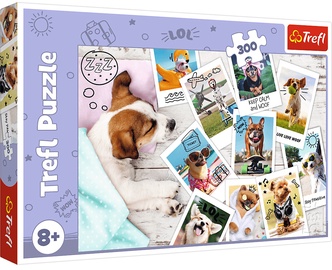 Dogs Holiday Pictures 30031, 60 cm x 40 cm, 300 vnt. Trefl dėlionė