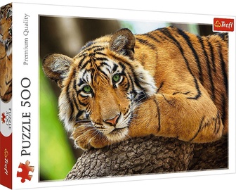 Tiger 759837, 500 vnt. Trefl dėlionė