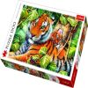 Two Tigers 26159, 1500 vnt. Trefl dėlionė