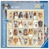 Dog Portraits 167586V, 36 cm x 49 cm, 500 vnt. Ravensburger dėlionė