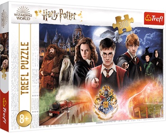 The Secret Harry Potter 23001, 60 cm x 40 cm, 300 vnt. Trefl dėlionė