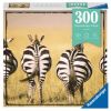 Zebra 13312, 27 cm x 39 cm, 300 vnt. Ravensburger dėlionė