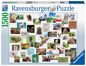 3D dėlionė Funny Animals Collage 1500, 1500 vnt. Ravensburger dėlionė