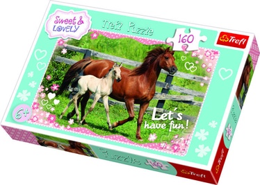 15331T, 41 cm x 28 cm, 160 vnt. Trefl dėlionė