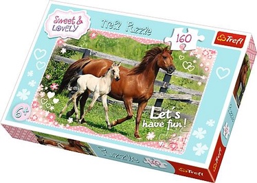 15331, 160 vnt. Trefl dėlionė