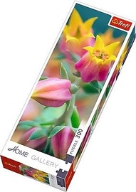 75005, 300 vnt. Trefl dėlionė