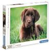 Chocolate puppy, 500 vnt. Clementoni dėlionė