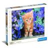 Ginger Cat, 49 cm x 36 cm, 500 vnt. Clementoni dėlionė