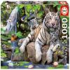 Bengalt Tigers 14808, 48 cm x 68 cm, 1000 vnt. Educa dėlionė