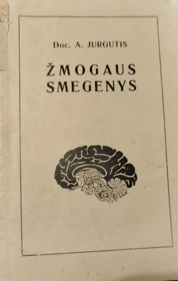 Žmogaus smegenys