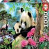 Morning Panda, 48 cm x 68 cm, 1000 vnt. Educa dėlionė