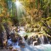 Sunny forest stream C-200382-2, 92 cm x 68 cm, 2000 vnt. Castorland dėlionė