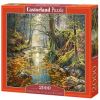 Reminiscene Of The Autumn Fores C-200757-2, 68 cm x 92 cm, 2000 vnt. Castorland dėlionė