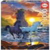 Unicorns On The Beach Vincent Hie 90252, 68 cm x 48 cm, 1000 vnt. Educa dėlionė
