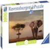Masai, 50 cm x 70 cm, 1000 vnt. Ravensburger dėlionė