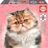 Persian Cat 392776, 28 cm x 20 cm, 100 vnt. Educa dėlionė