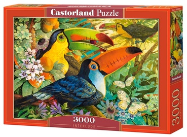 Interlude 3000 el. 300433, 92 cm x 68 cm, 3000 vnt. Castorland dėlionė