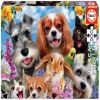 Selfie Pet Parade 111296, 28 cm x 40 cm, 200 vnt. Educa dėlionė