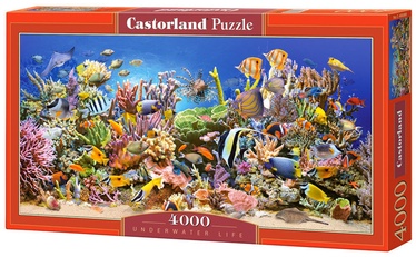 Underwater Life 4000 el. C-400089, 138 cm x 68 cm, 4000 vnt. Castorland dėlionė