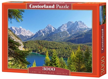 , 92 cm x 68 cm, 3000 vnt. Castorland dėlionė