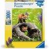Curious Foxes, 49 cm x 36 cm, 300 vnt., ruda/žalia/oranžinė Ravensburger dėlionė