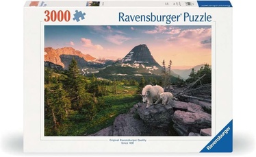 Alpine Goat, 80 cm x 121 cm, 3000 vnt. Ravensburger dėlionė