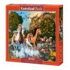 Horse Wonderland 1000 el. C-104789-2, 47 cm x 68 cm, 100 vnt. Castorland dėlionė