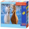 The Winter Horses 27378, 260 vnt. Castorland dėlionė